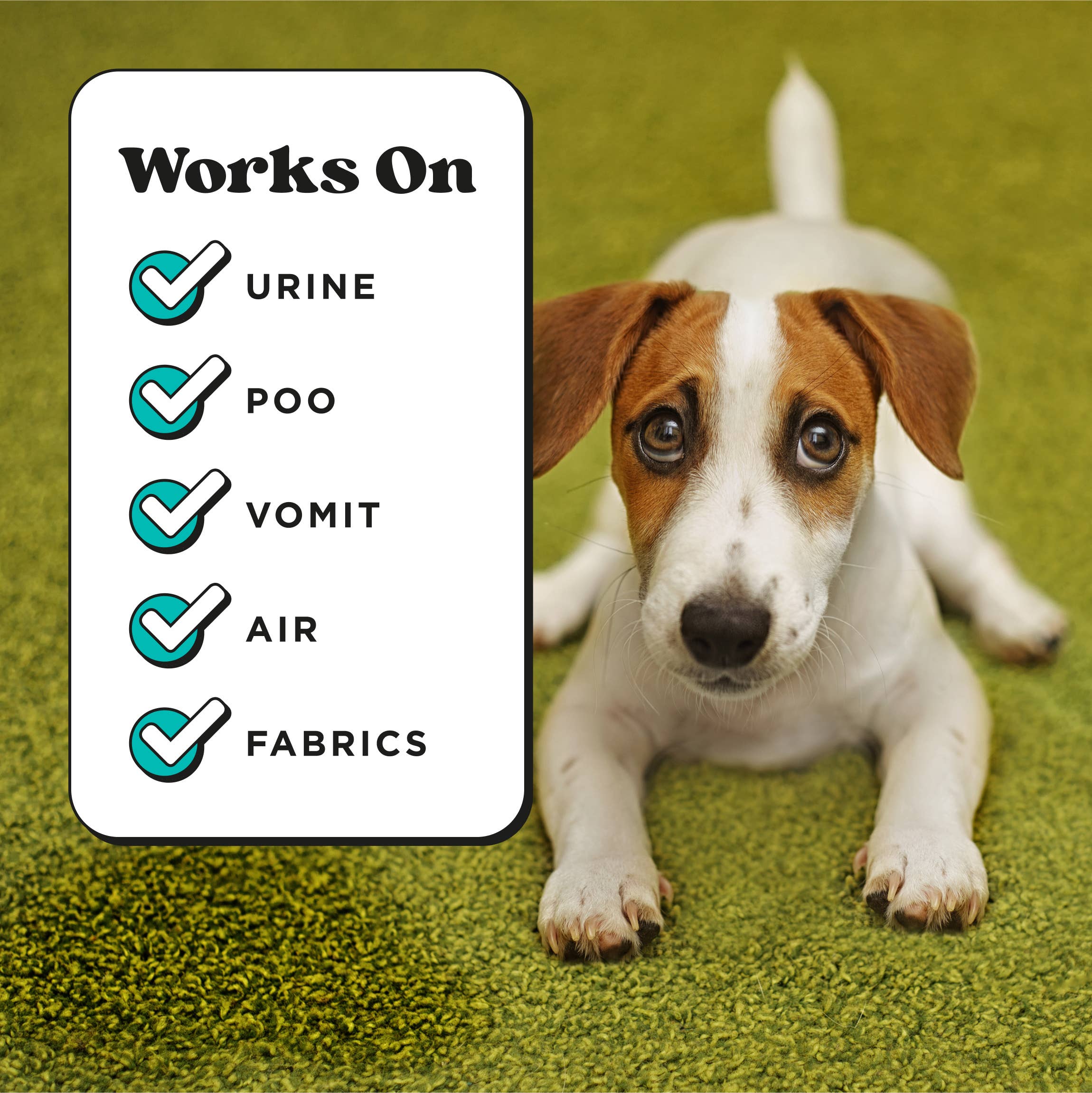 Pet~Pourri Pawsitively Fresh Air+Fabric Odor Refresher 1.4oz