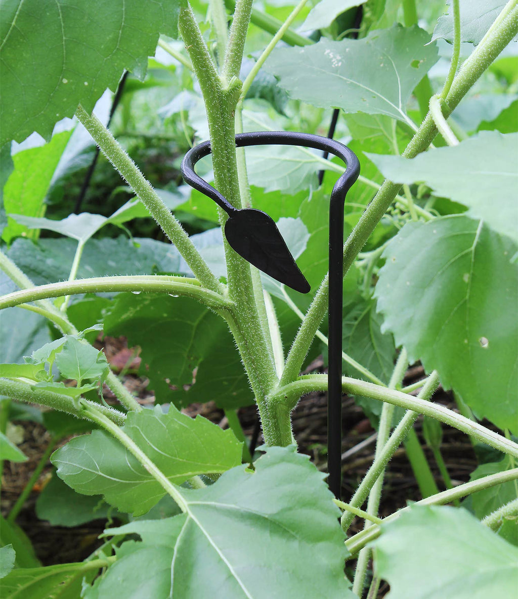 Plant Stake - set of 6