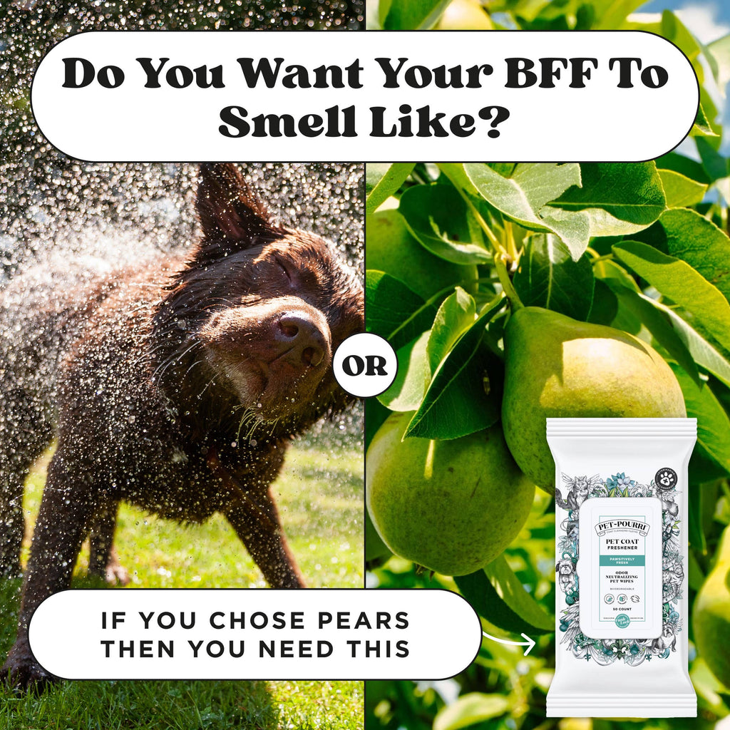 Pet~Pourri - Pet Coat Wipes - 50ct - Pawsitively Fresh Scent